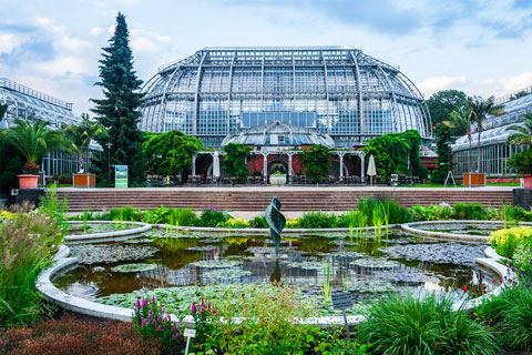 Visitar el jardín botánico de Berlín